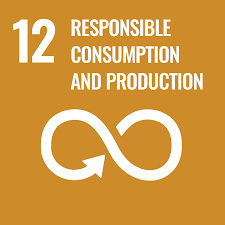 sdg-12