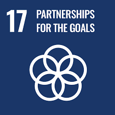 sdg-17